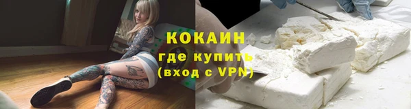 альфа пвп Новодвинск