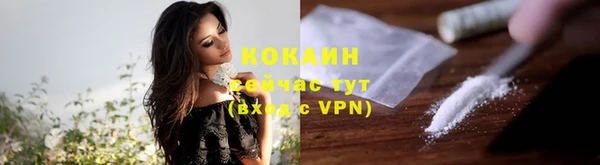 альфа пвп Новодвинск