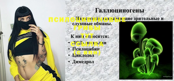 таблы Новозыбков