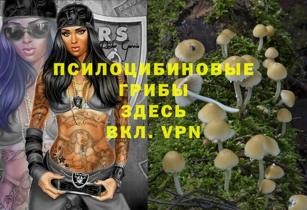 ALPHA-PVP Болотное