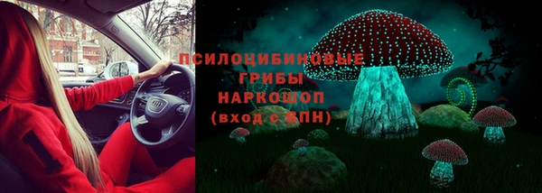 таблы Новозыбков