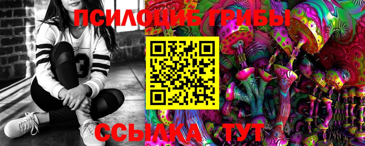 Псилоцибиновые грибы MAGIC MUSHROOMS  Вход с VPN  Североморск 