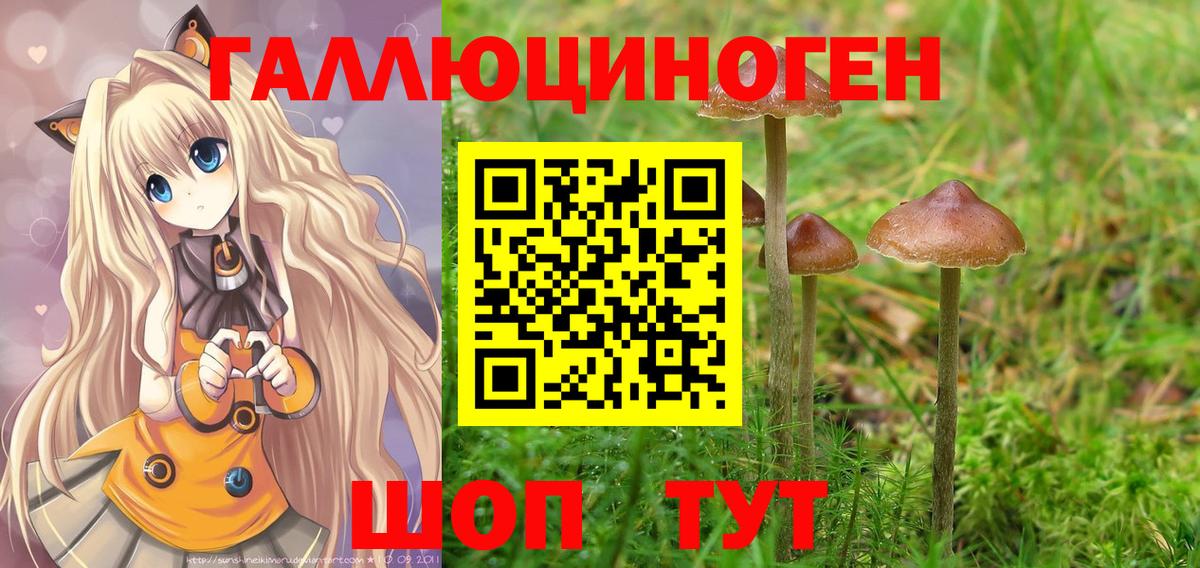 Псилоцибиновые грибы Psilocybine cubensis Североморск